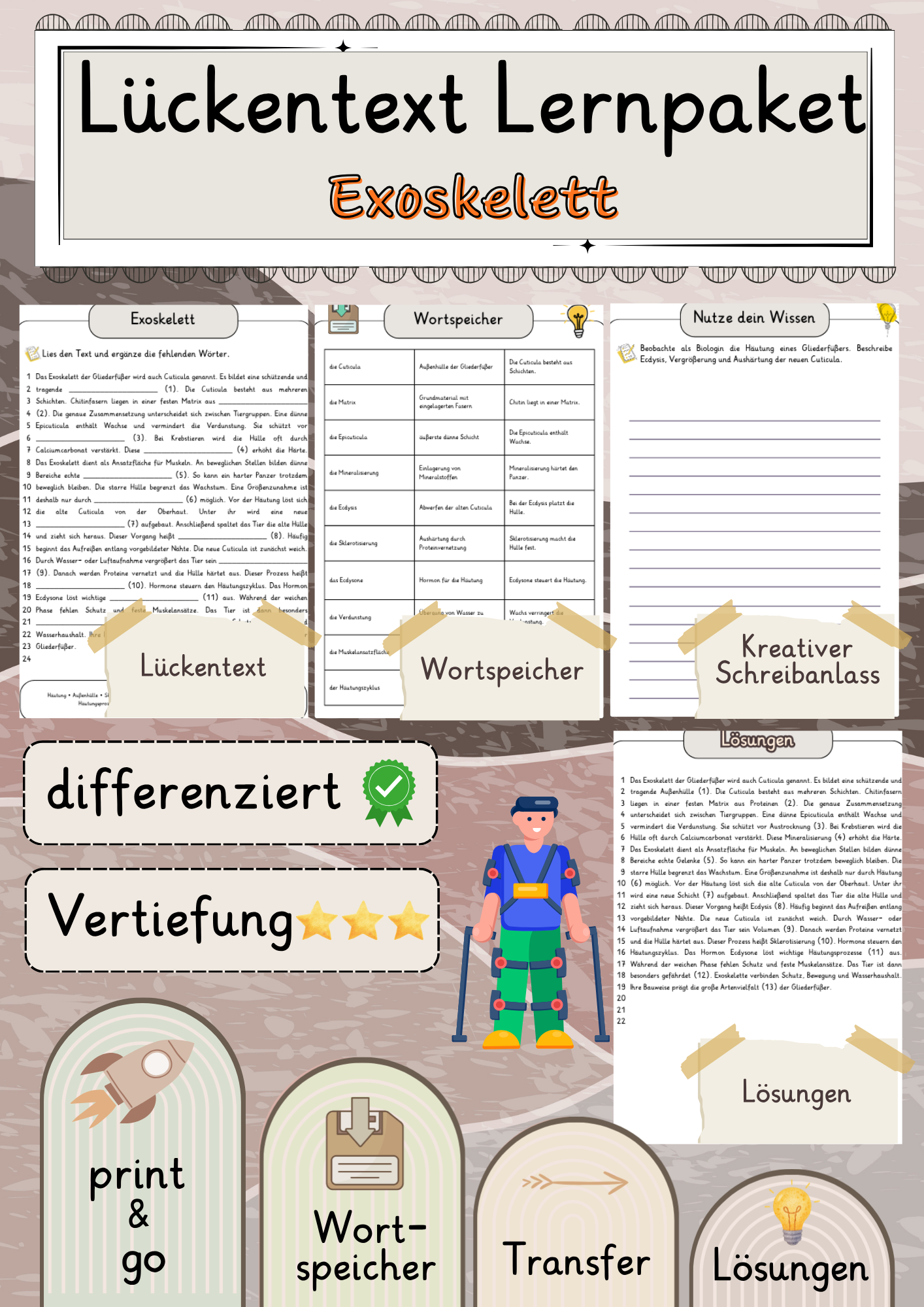 Exoskelett  Lückentext Vertiefung mit Wortspeicher und Transferaufgabe + Lösungen