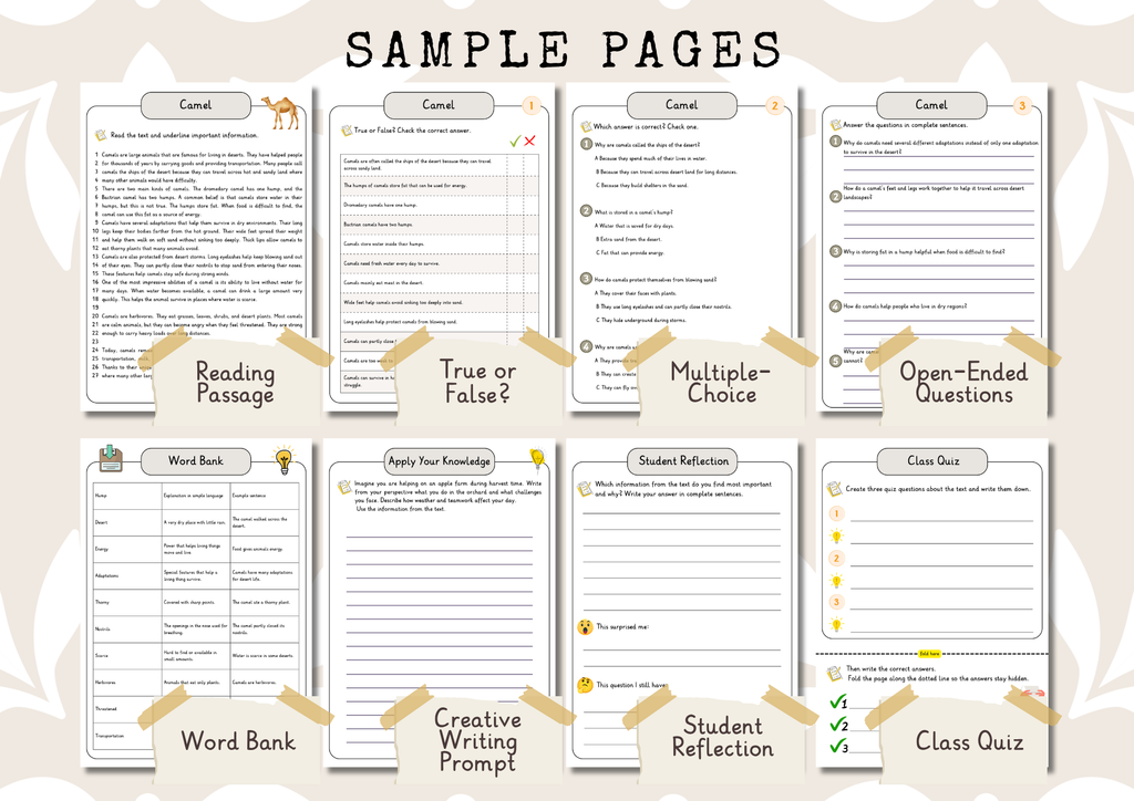 Dead Zones in the Oceans Premium Reading Comprehension Activities Bundle
