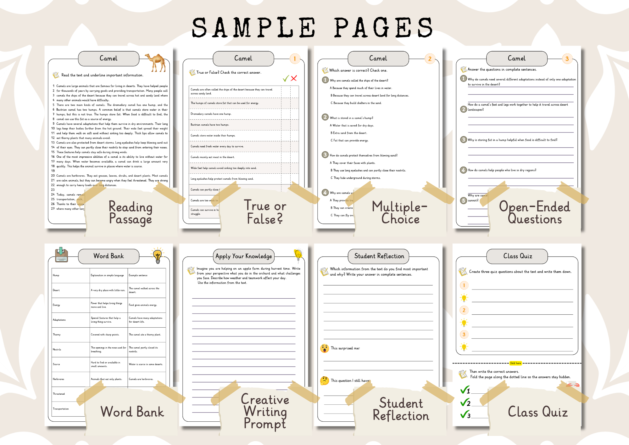 Dead Zones in the Oceans Premium Reading Comprehension Activities Bundle