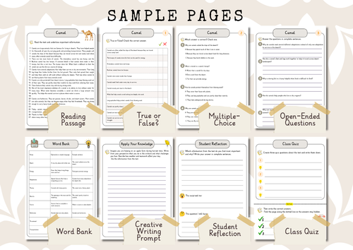 Dead Zones in the Oceans Premium Reading Comprehension Activities Bundle